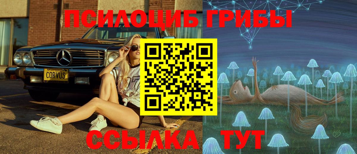 Ульяновск  Галлюциногенные грибы MAGIC MUSHROOMS  Вход с VPN  Псилоцибиновые грибы Psilocybine cubensis 