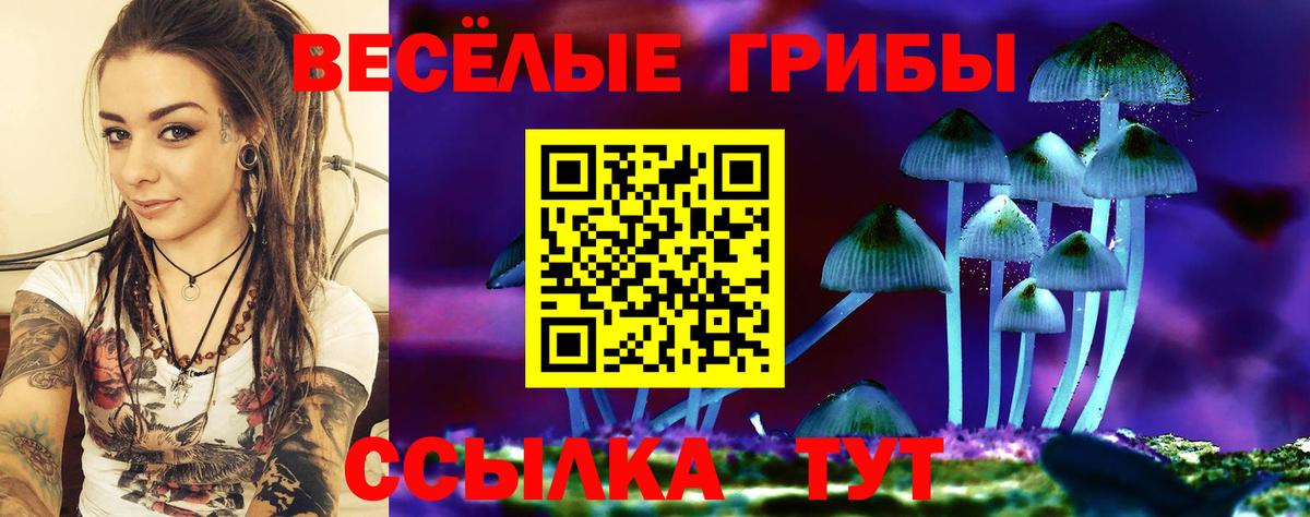 Галлюциногенные грибы мухоморы Ульяновск